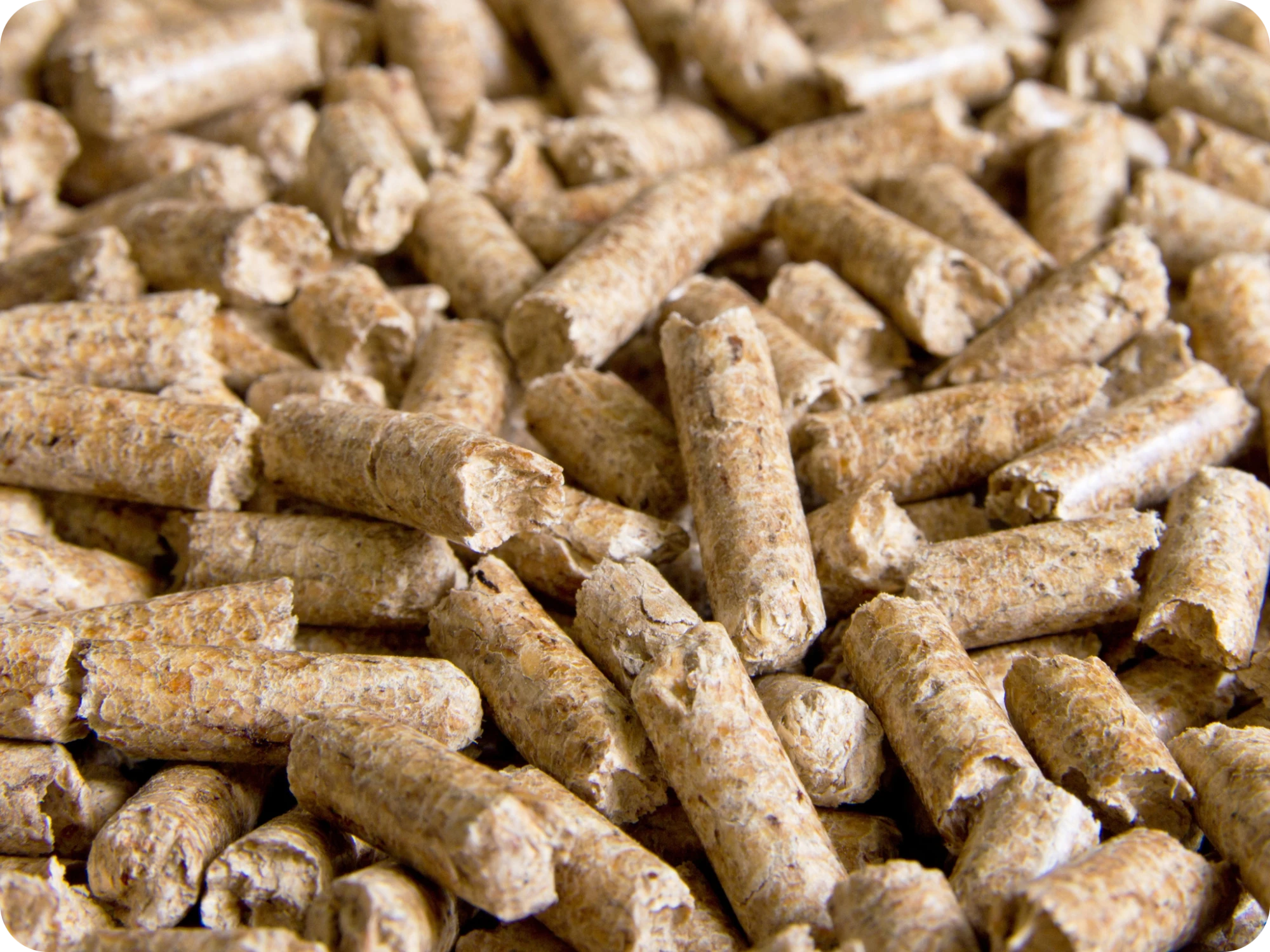 Wood Pellet